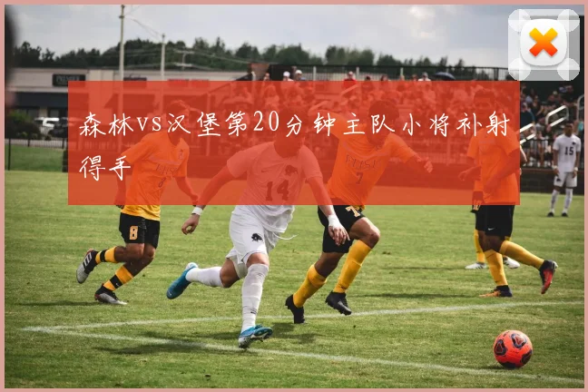 森林vs汉堡第20分钟主队小将补射得手