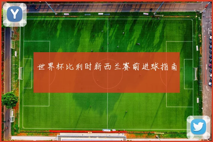 世界杯比利时新西兰赛前进球指南
