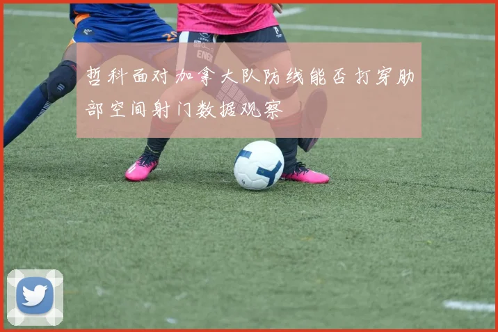 哲科面对加拿大队防线能否打穿肋部空间射门数据观察