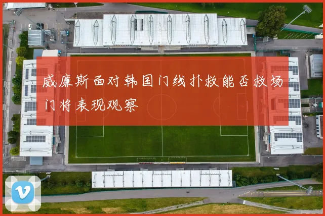 威廉斯面对韩国门线扑救能否救场门将表现观察